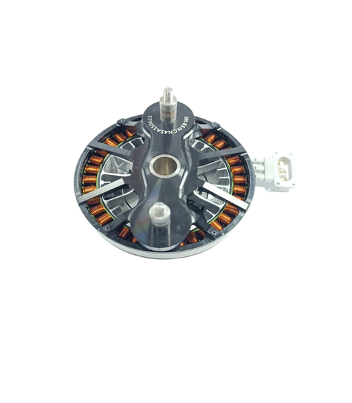 Motor 15516