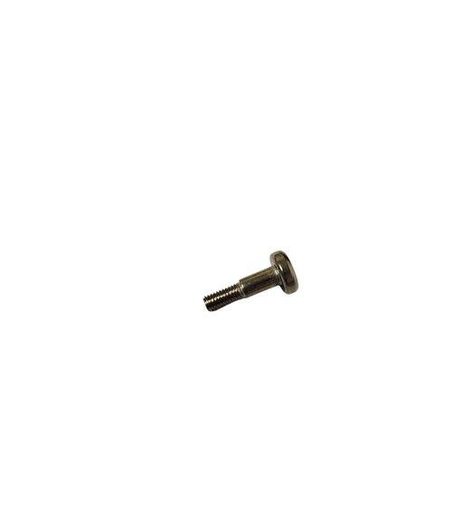 T100 - TORNILLO DE FIJACION DE TARJETAS